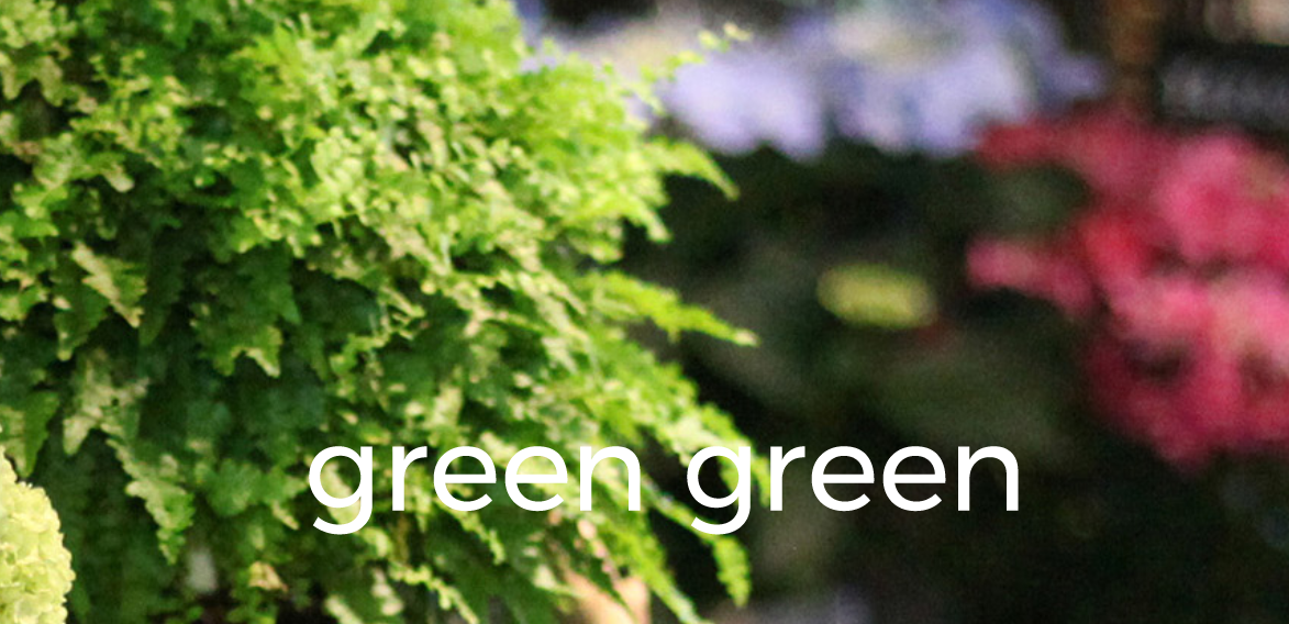 green greeen
